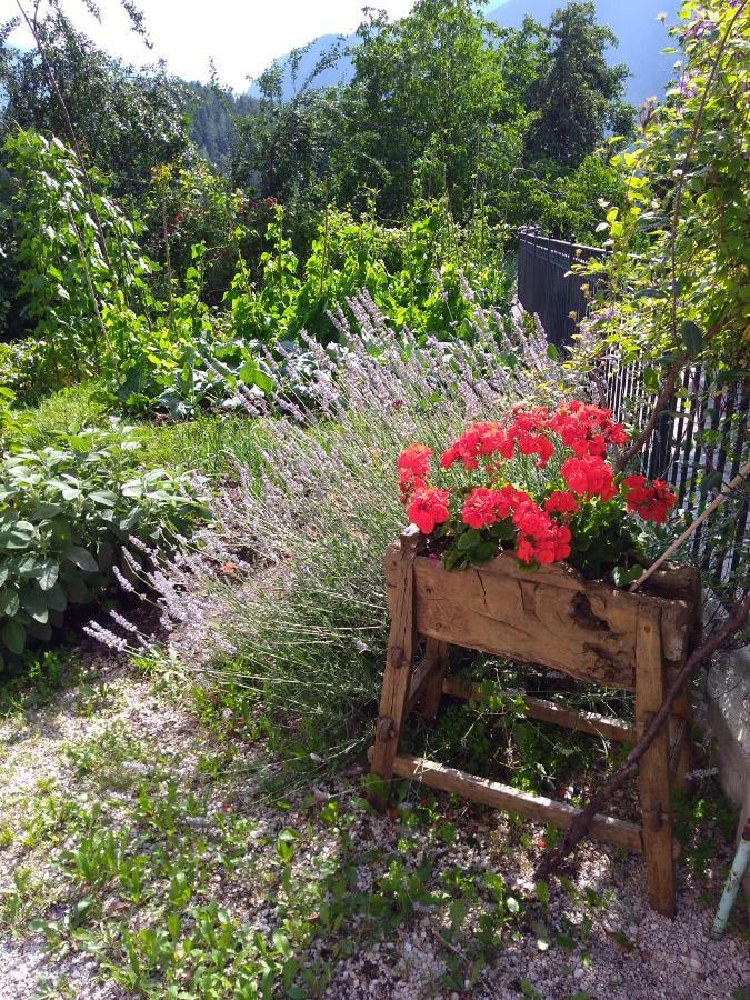 Casa Ida - Clpat 22253 Villa Tregiovo ภายนอก รูปภาพ